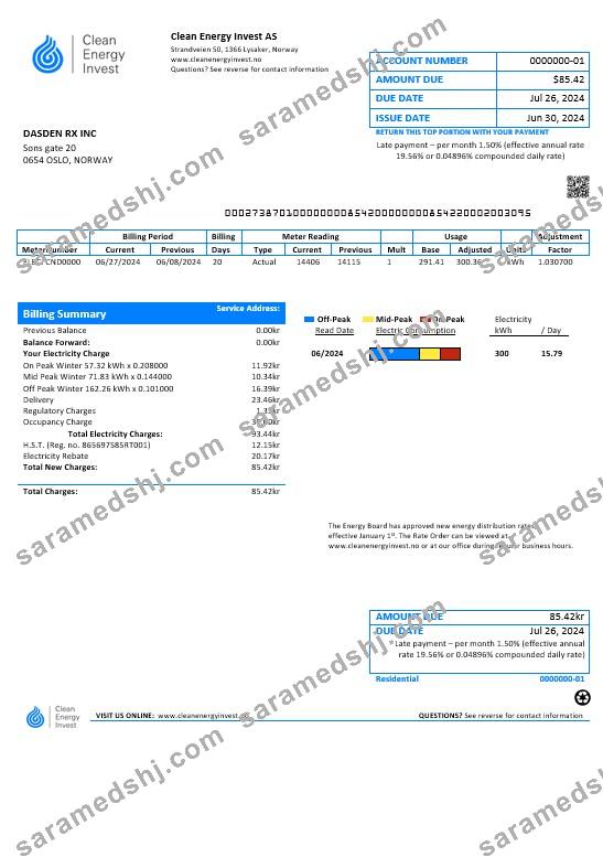 Norway Clean Energy Invest AS business  utility bill template in Word and PDF formats, good for address prove